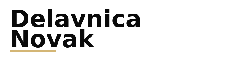 Delavnica Novak logo